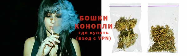 PSILOCYBIN Белокуриха